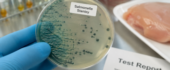Europoje - tarptautinis Salmonella Stanley protrūkis