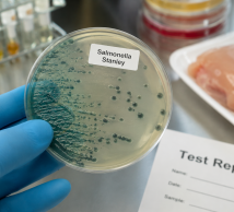Europoje - tarptautinis Salmonella Stanley protrūkis